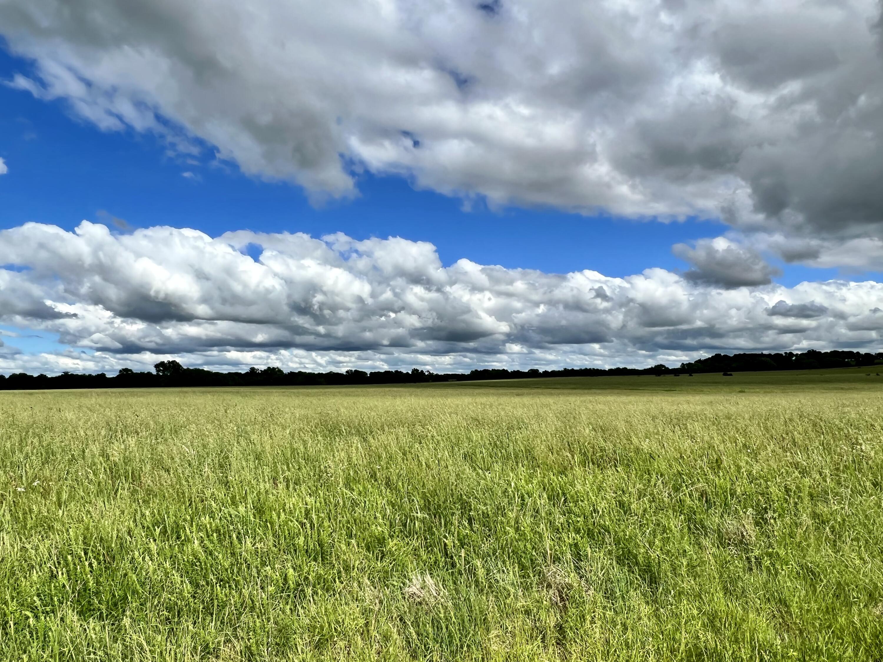N/A - Farm