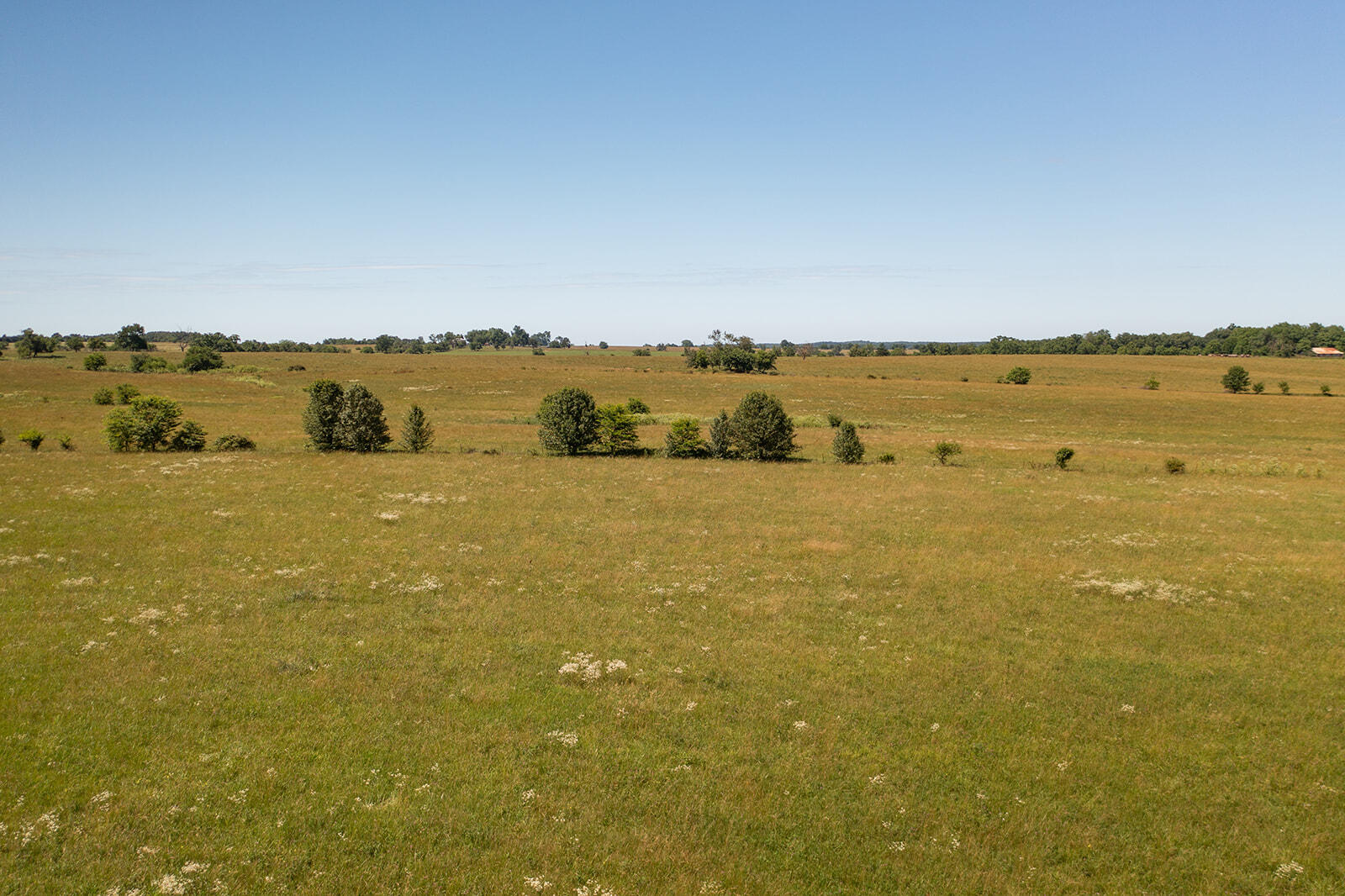 N/A - Farm