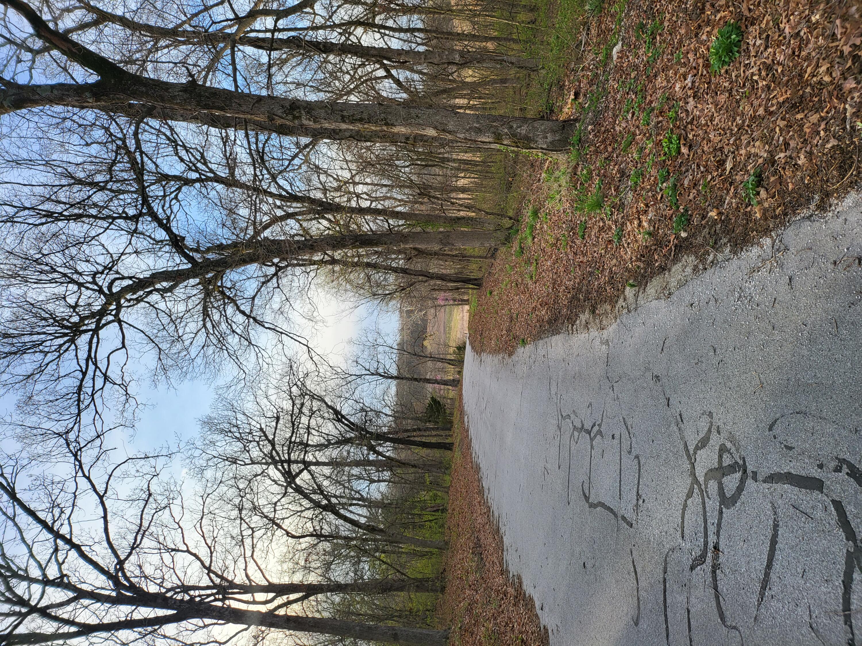 40 ACRES OF POTENTIAL! This 40 acre piece of land is just outside of town but private and a good mixture of trees and open land. Nice driveway into property with mature trees.