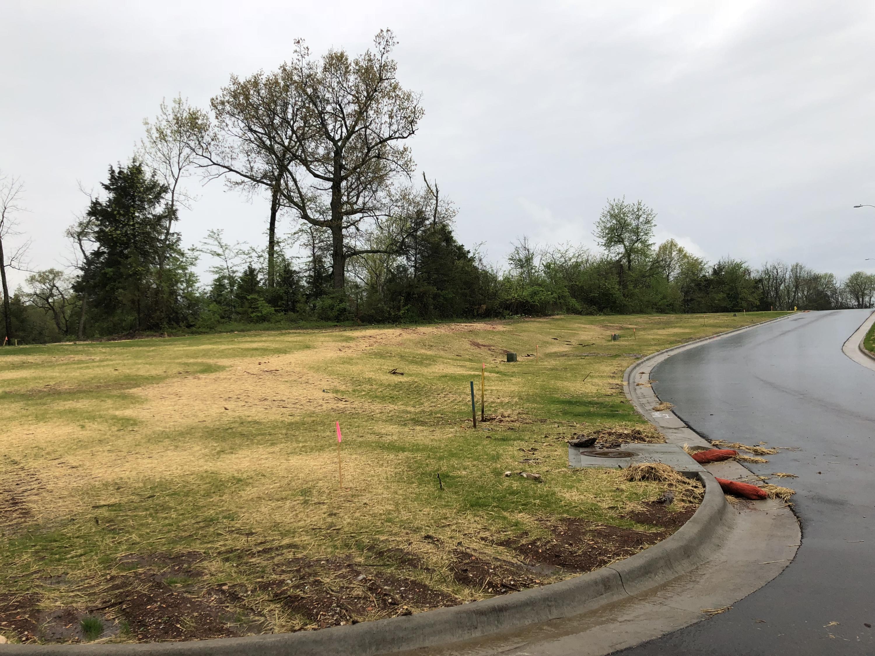 Photo 4 of 13 of Lot 95 Cypress Point land