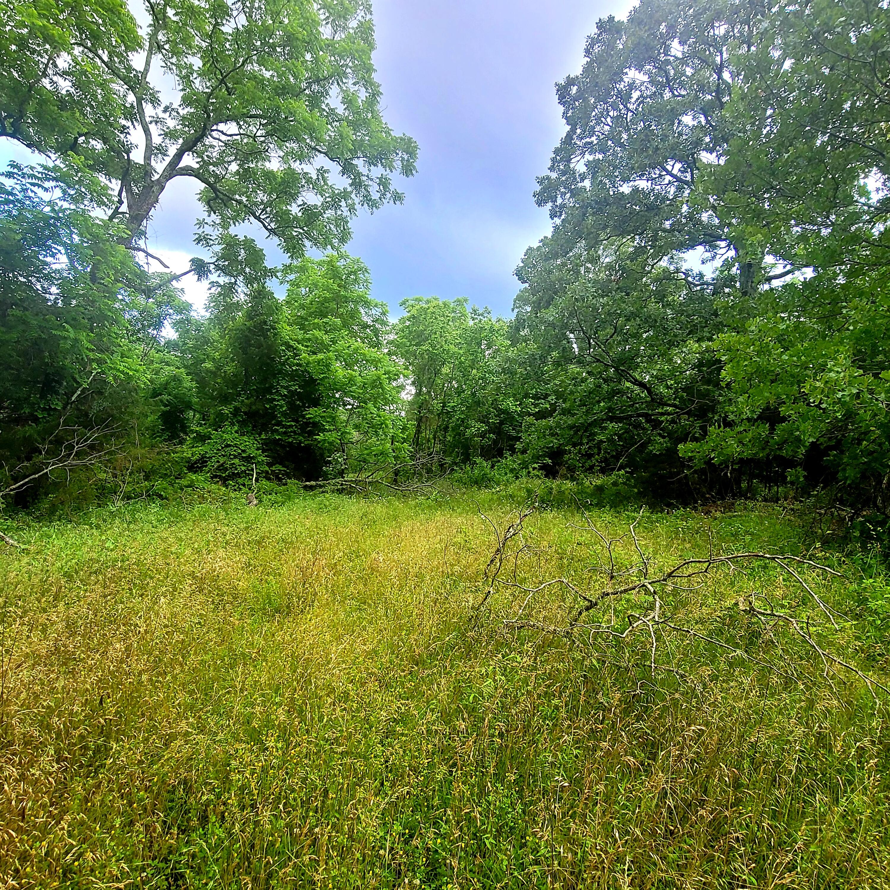Texas-Not in List - Farm