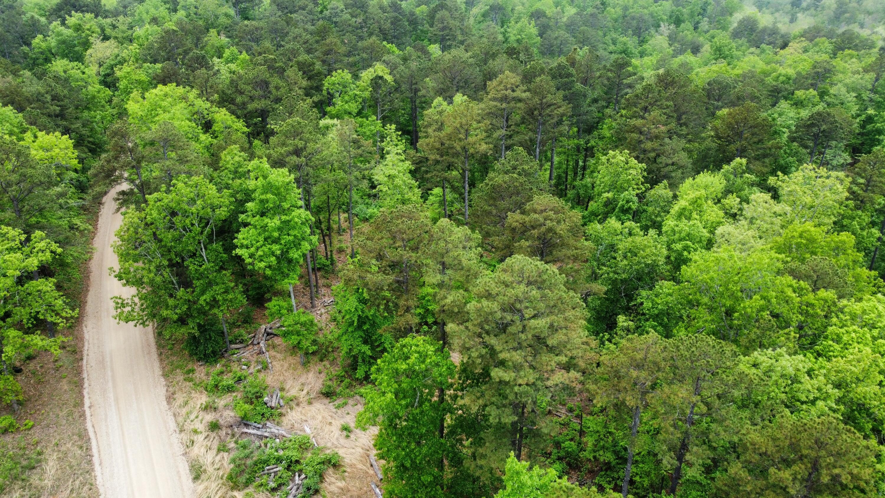 Great 10 acre lot close to the towns of Ellsinore and Van Buren. Located less than a mile off of highway ZZ and 60 this property would make a great place to build your forever home, or just park your RV and deer hunt right on your own property. Lots of this size don't last long!
