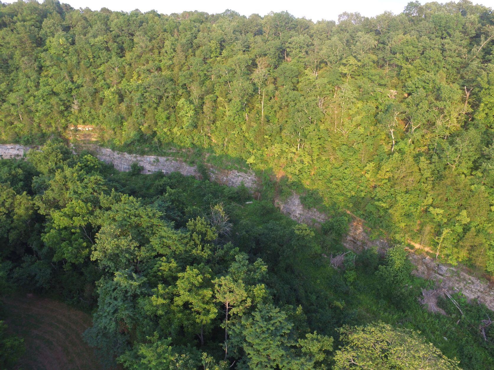 324 Recreational Ozark Acres with Great Views!Bring your horses or 4x4's, this property has excellent roads already in place!  The upper portion of the Eleven Point River winds through the property during the wet season.  Lots of sign of deer and turkey along with excellent clearings for food plots.  Some marketable timber!  If you are looking to build there are several site options with great views available!Part of property is in Willow Springs School District and part is in West Plains School District and part in Mountain View School DistrictProperty also has access on County Road 3190Electric available at property boundary.  1/4 mile easement