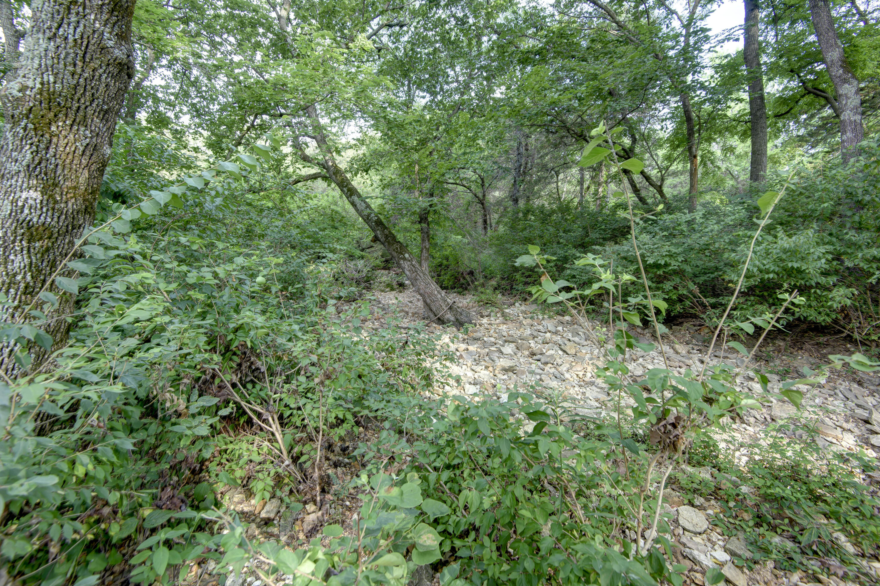 Greene-Not in List - Residential