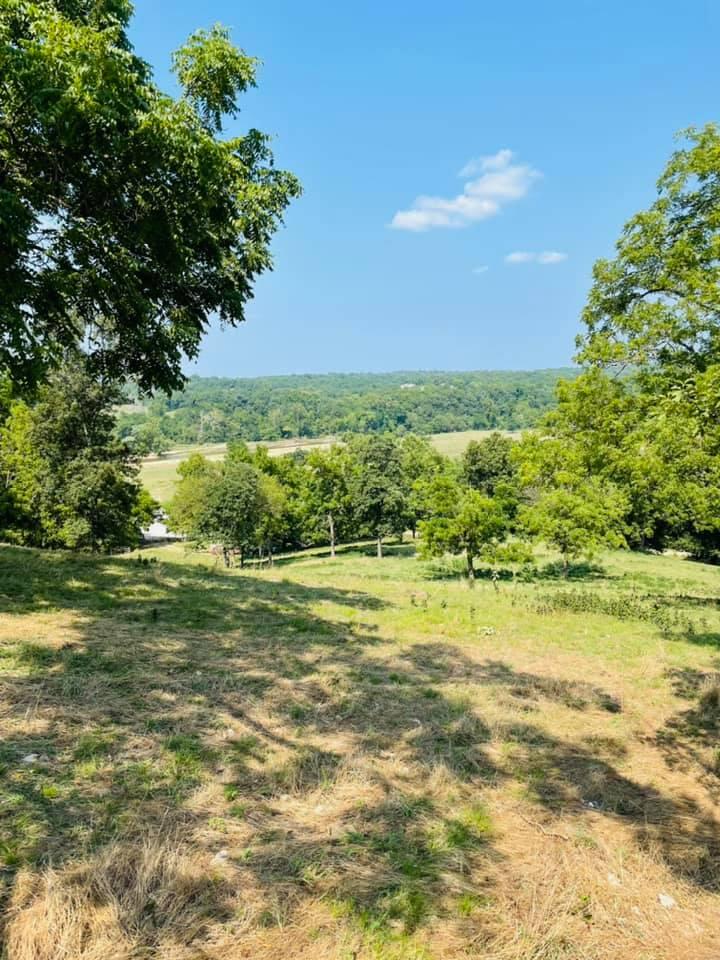 253 +/- ACRES,  With view of little sugar creek.  Several amazing sites for your new home.  Opened/pasture and wooded for great hunting.  Beautiful Pinetree's throughout the property give a peaceful feeling. 4 ponds, one is spring fed.