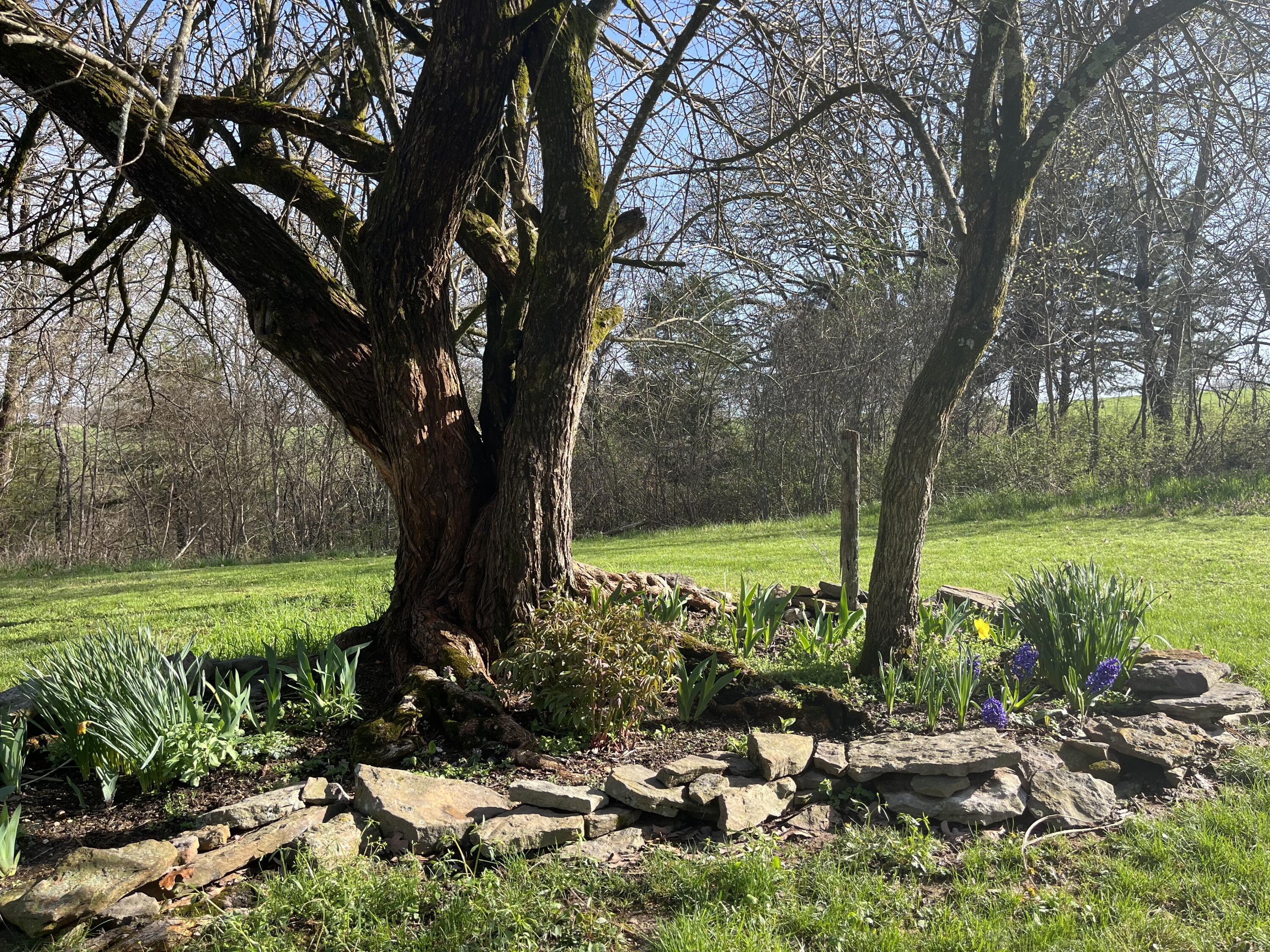 Stone-Not in List - Residential