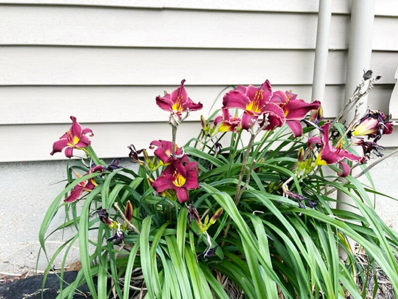 Hickory-Not in List - Residential