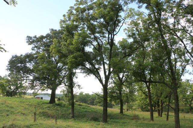 N/A - Farm