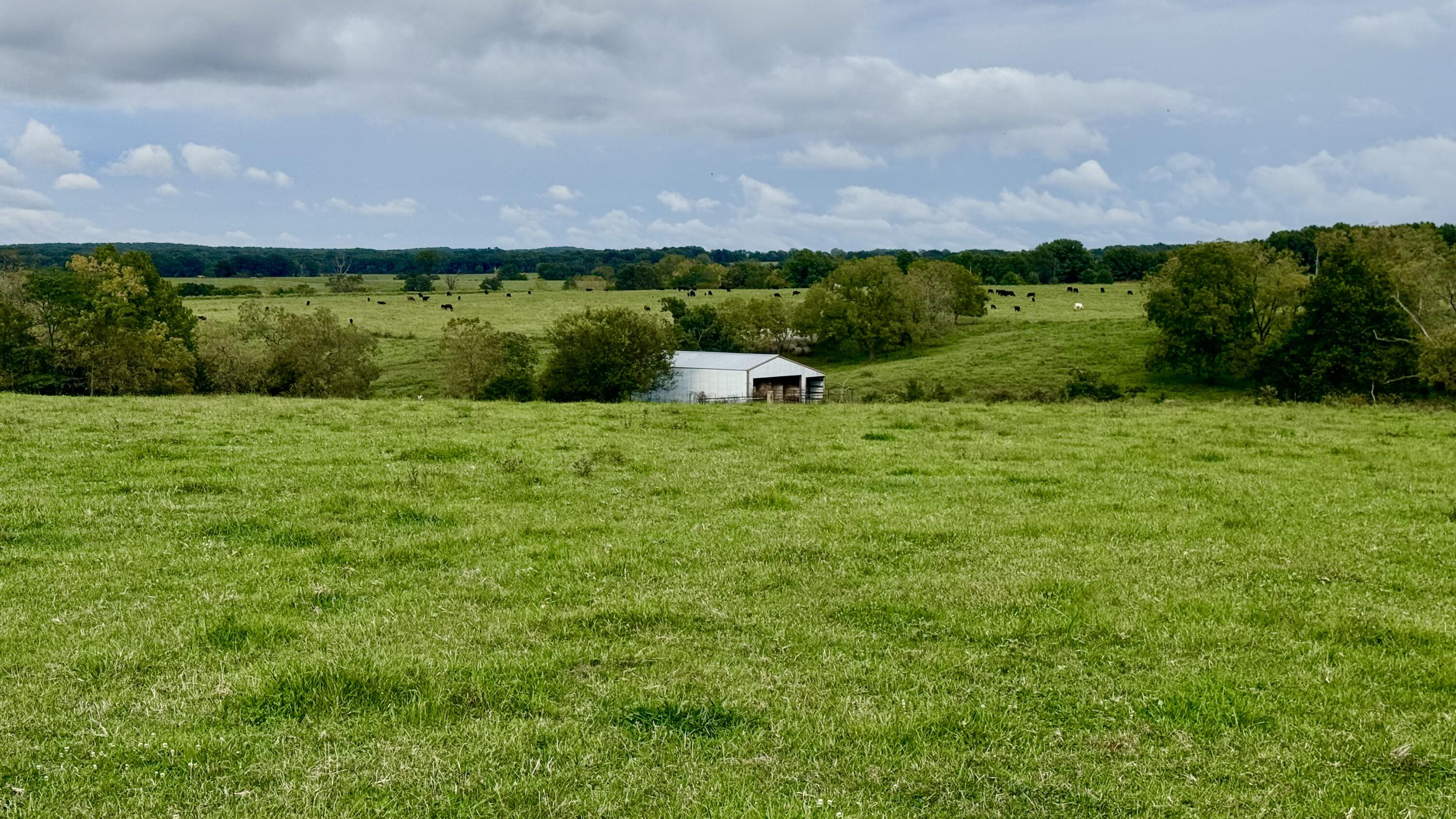 N/A - Farm