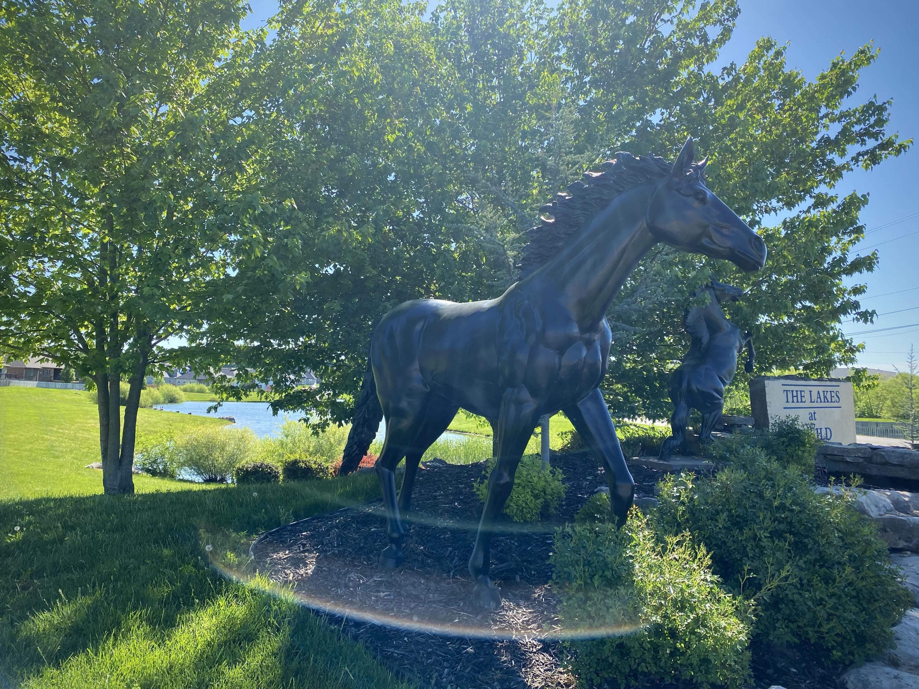 The Lakes Wild Horse - Residential