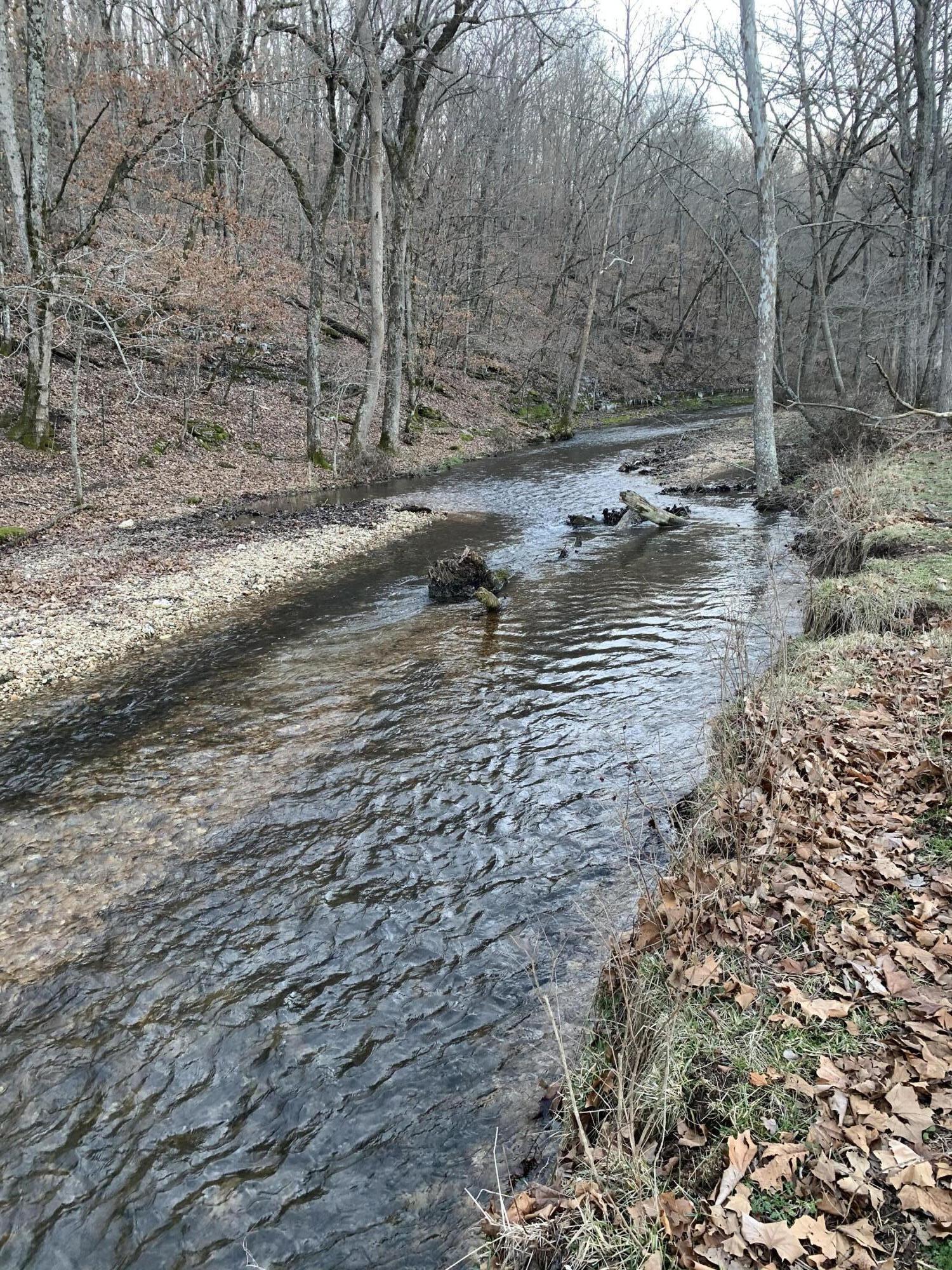 Gorgeous estate with year-round Silver Springs Creek!  Close in with easy access to Nixa but verry private. Beautiful views with great building sites.   Plenty of wildlife, deer, blue heron, eagles and beaver.  Silver Springs dam was built in the 1870's with a mill that was operational for years.Owner will divide.