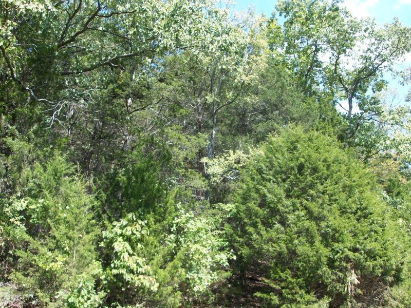 Woodleigh - Land