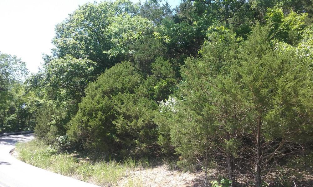 Opportunity to construct your dream house in the center of the music capital USA a private lot with trees! You can walk to the landing, to the park, along Roark Creek and yet on a limited dead end double  cul de sac street. The Woodleigh subdivision is an established neighborhood. You can build your DREAM HOME and enjoy nature too.