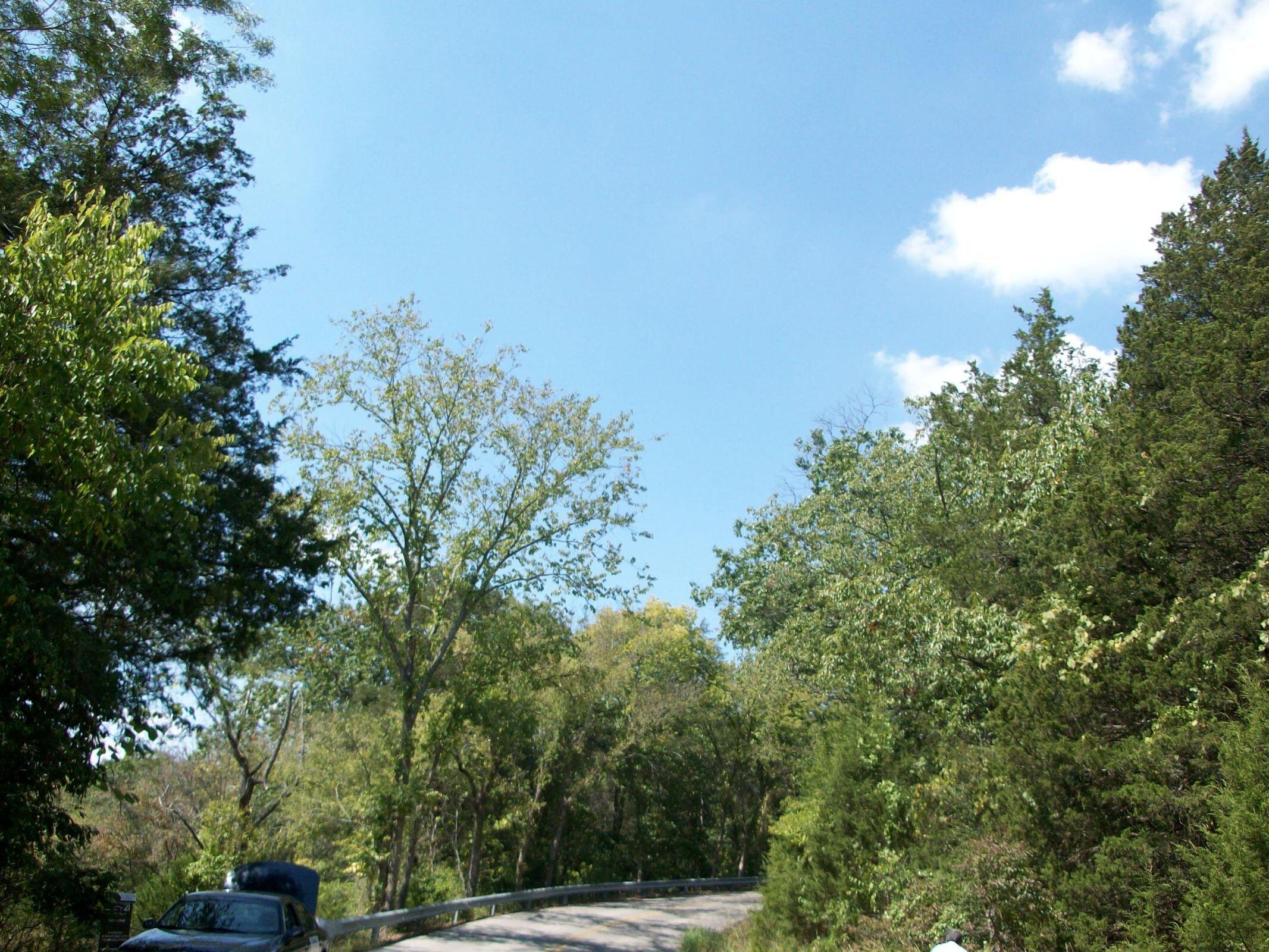 Woodleigh - Land