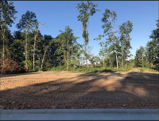 LOT 22 ANTHONY PARK SUBDIVISION PH 4, SPRINGFIELD, MO 65810 - Image 86a76f3daa1dca68f08e57bcd894c19f/1893220127