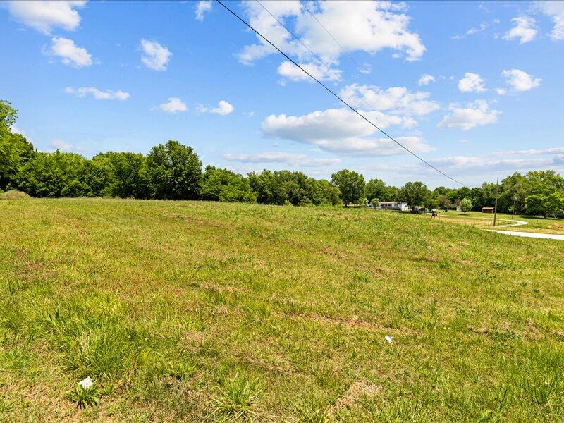 This great .72 acre lot is located in Walnut Grove and is ready for a new home. With utilities, water and sewer available this is the ideal lot for your next build.