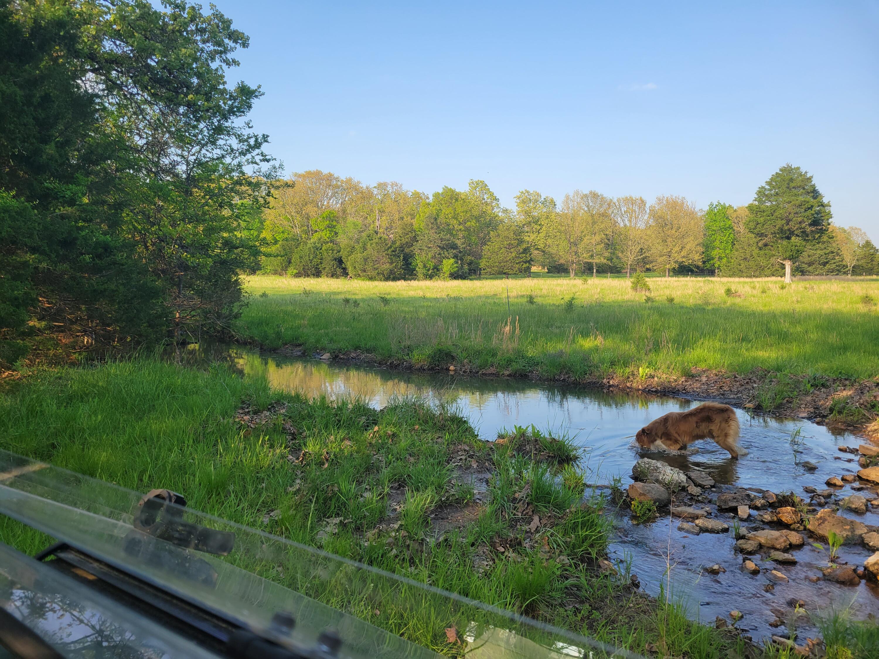 26 acres makes a perfect setting for a hobby farm or country home with pond and creek! The pond has never been dry that we know of, appears to be spring fed and does have fish. Also, to the East of the pond is a creek that runs nearly year round. Land surrounding the pond stays wet like a bottom field, however there are higher spots for good building sites. 26 acres total - includes 10 acres of trees and 16 acres of grass. If you would like to know more, give us a call and we will set up a showing today.