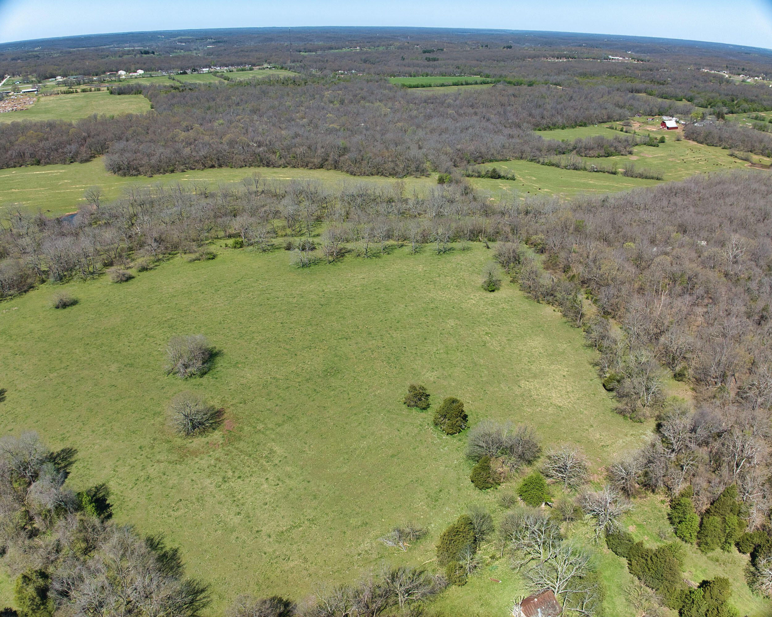 This 149+/- acres recreational oasis checks all the boxes! Situated on a dead end road, less than 5 miles from Neosho, MO, this farm is the perfect mix of pasture and timber. Fully fenced, the farm is actually still currently in cattle production. The mature hardwoods on this farm mixed with several clearings and topography changes set this place up perfect to chase turkey and white tails. Some very respectably deer have been harvested here and signage is plentiful. Several mature walnut trees are scattered throughout the farm.Established UTV trails help navigate the timber and give easy access to stand locations. A wet weather creek and a small pond are a couple additional features. The big field is set up perfect to start food plots, just add a Redneck Blind or two on the field edges. The south 40 of this farm use to have an old homestead on it. A well with an updated pump is on site as well as an electric pole with a meter. Build your hunting cabin or dream home on multiple build sites. Make your dream come true, with 149+/- prime hunting/farming acres only a short drive from Neosho, MO!