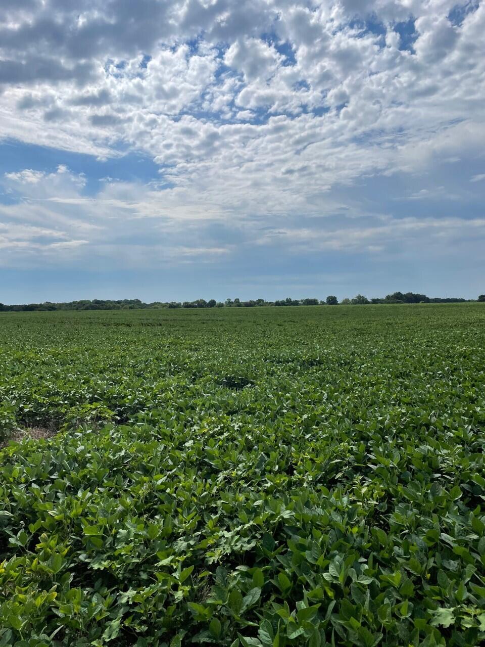 N/A - Farm