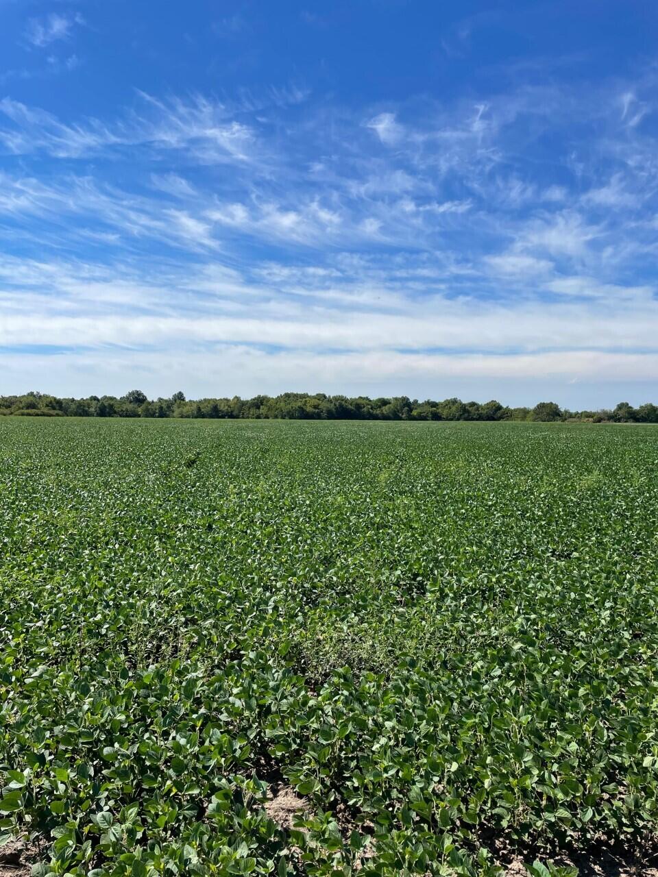 N/A - Farm