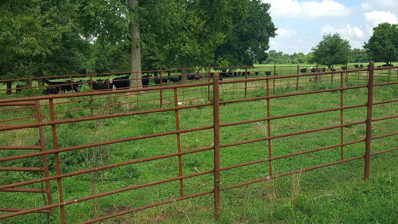 N/A - Farm