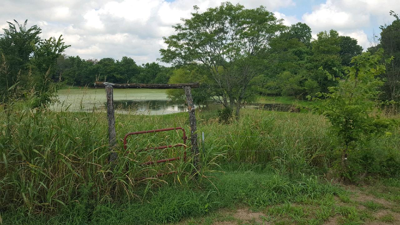 N/A - Farm