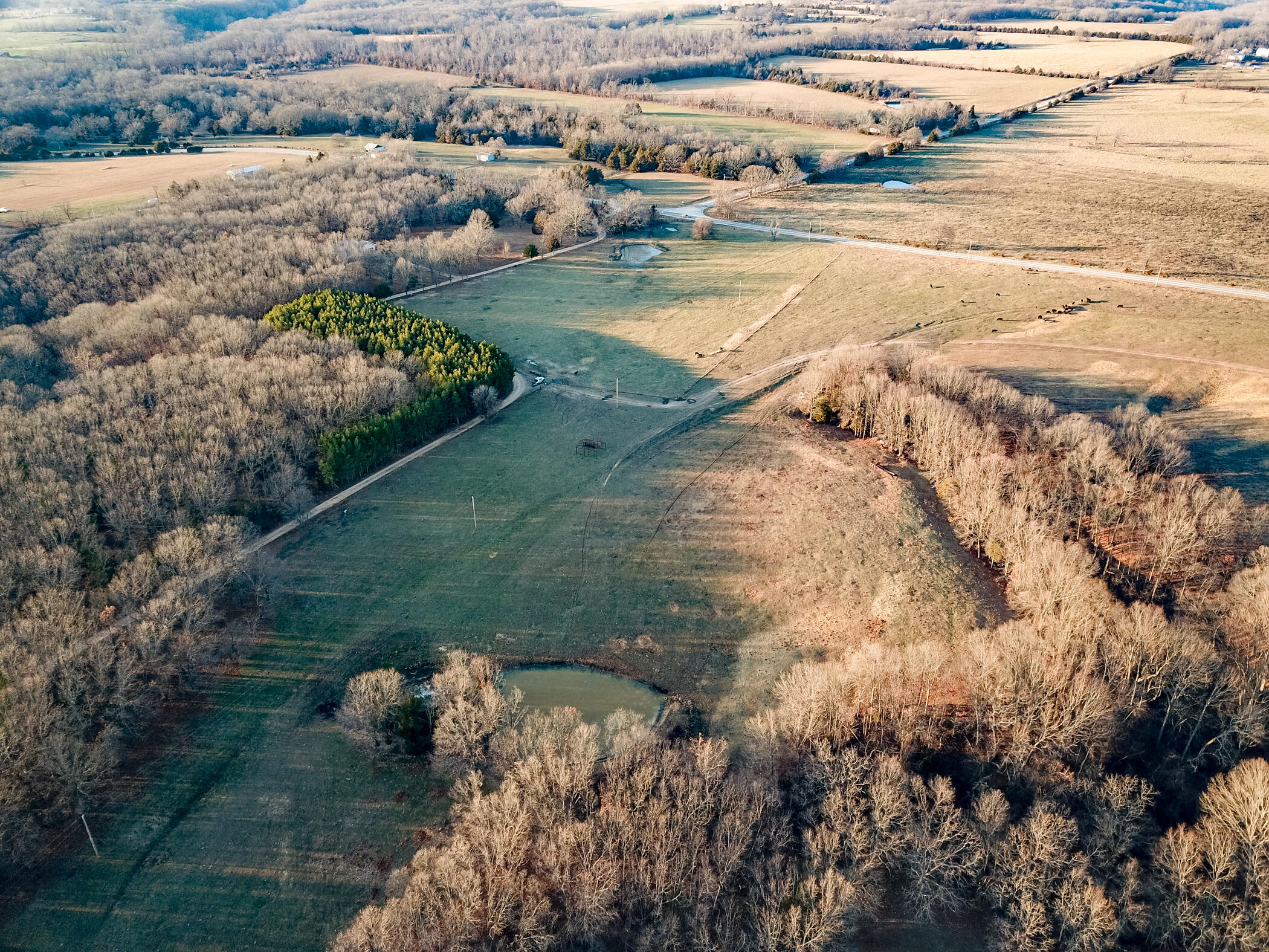 N/A - Farm