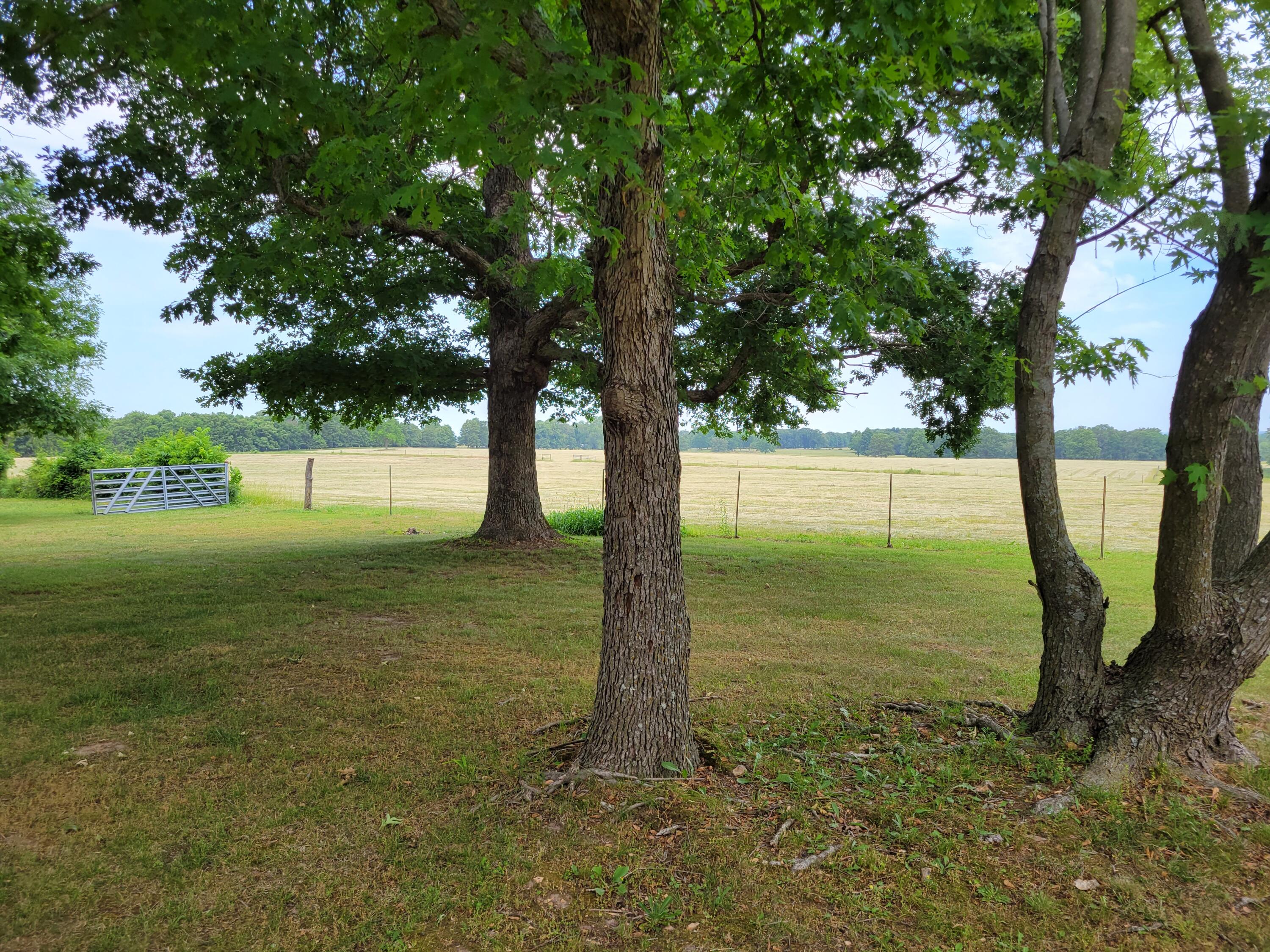 Cedar-Not in List - Residential