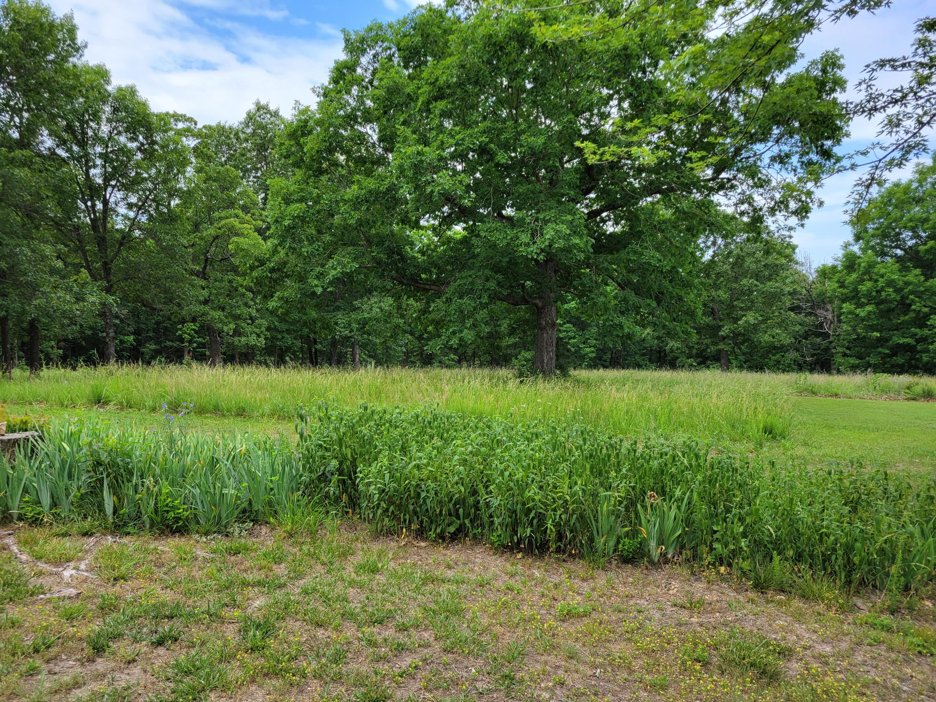 Cedar-Not in List - Residential