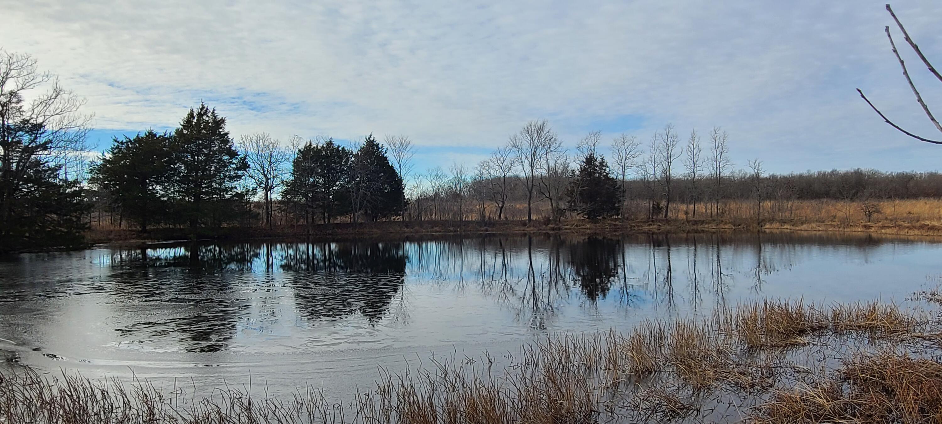 160 acres in Skyline School District! This property consists of a nearly a 1 acre pond along with a smaller pond,) about 45 acres of woods with the remainder in warm season grass. There is a CRP contract  that will transfer on 61 acres that matures in Aug of 2022. This property boasts great hunting potential or would make a great cattle or crop farm. there is an old home site on the property complete with mature pine trees and an old barn with the hay hook and trolley still in the loft. Property has road on 3 sides.