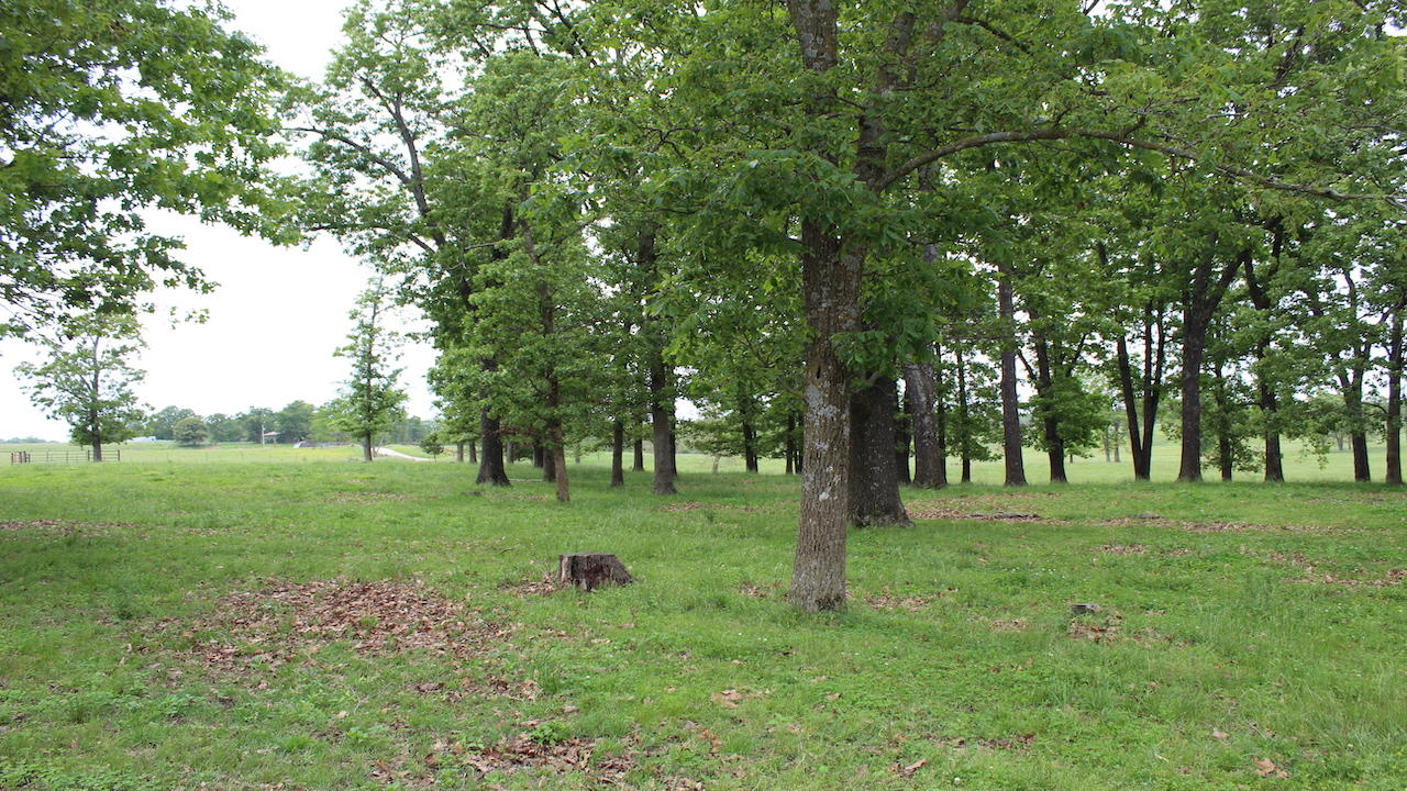 N/A - Farm