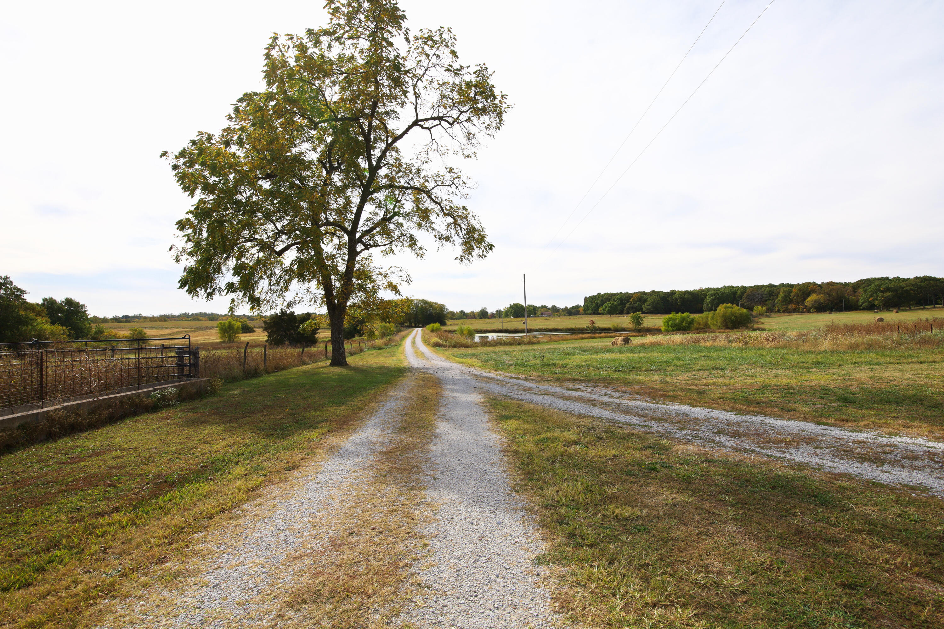 N/A - Farm