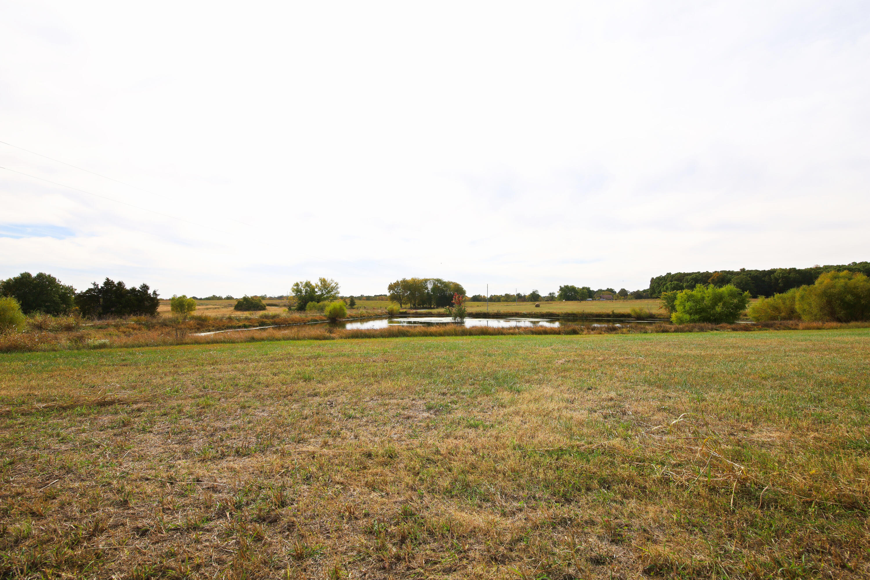 N/A - Farm