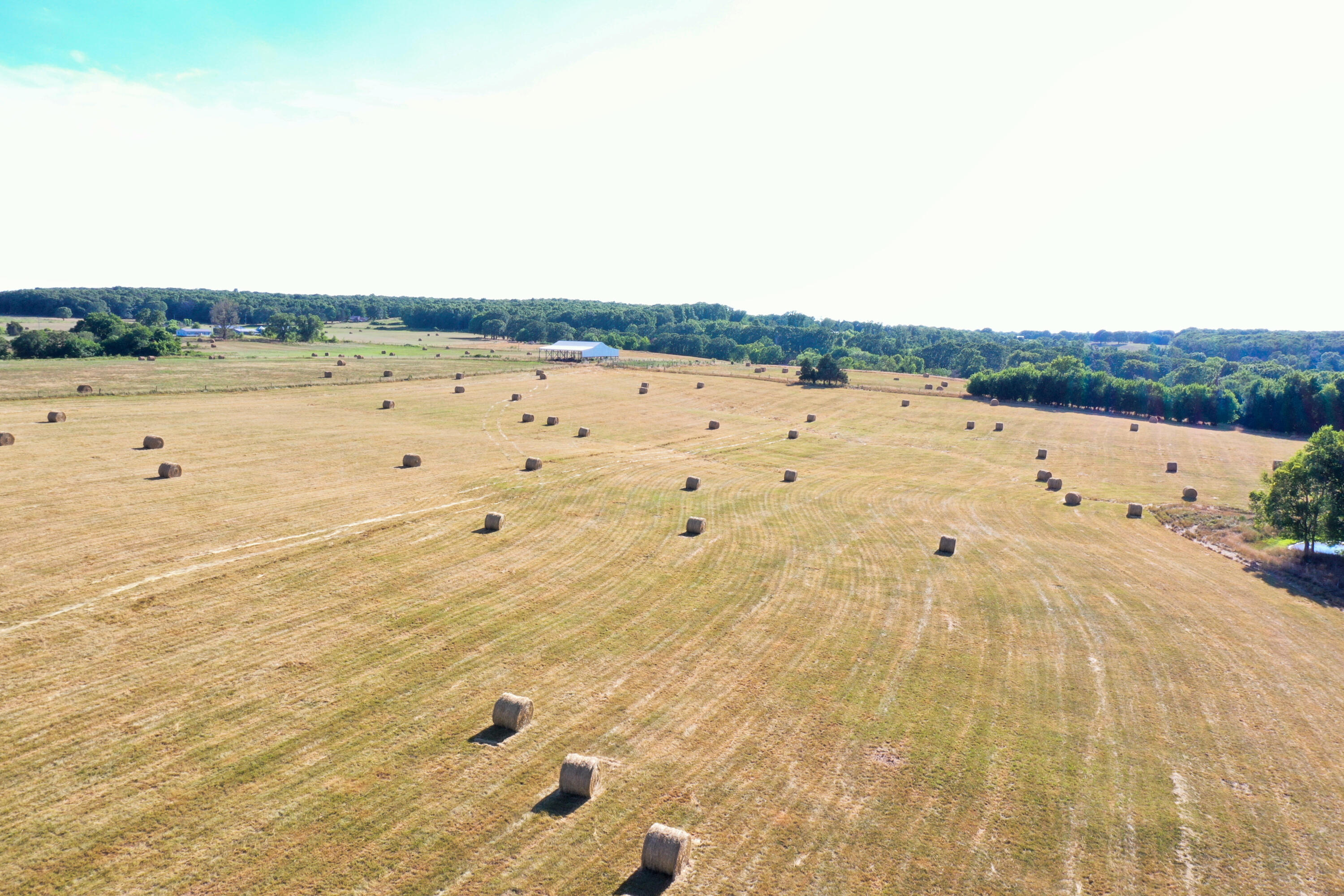 N/A - Farm