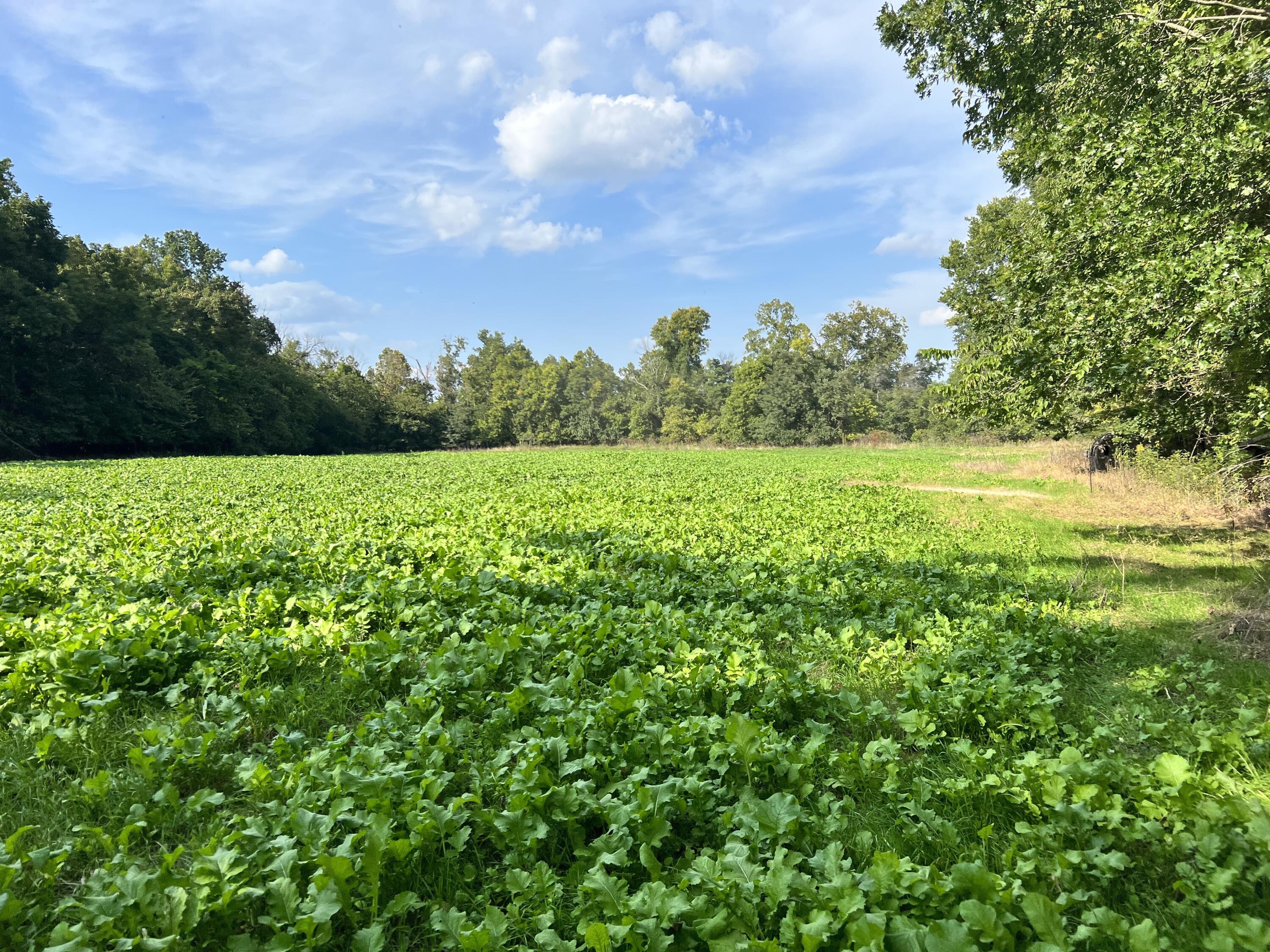 N/A - Farm