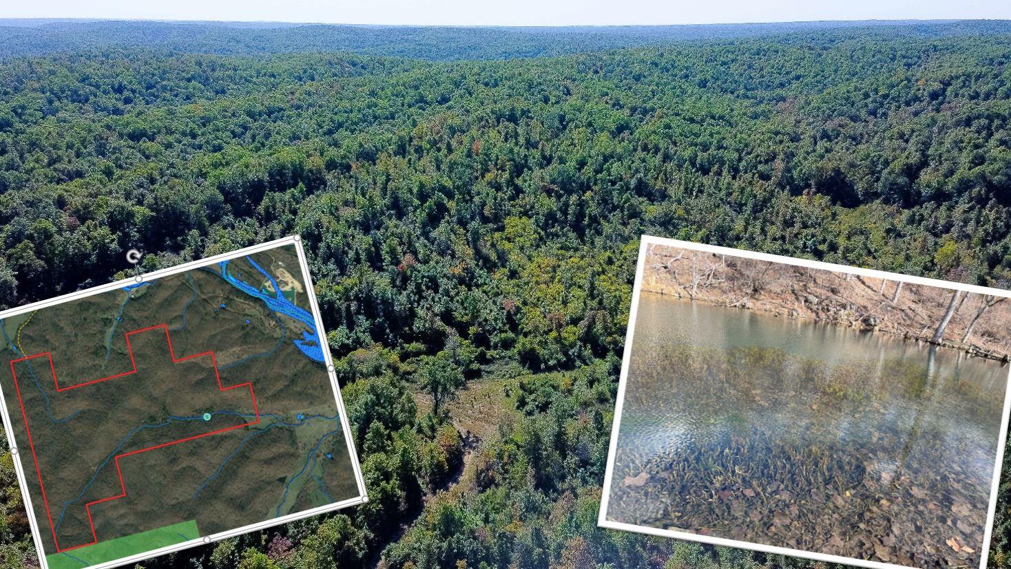Scenic Property in the Heart of the Ozarks with Spring fed Creek and Lake, Beautiful Rolling Timber Ground with a mixture of Pasture and Woodlands, additional Seasonal Creek, and an Abundance of Wildlife. There are ATV Trails that make it perfect for the Outdoor Enthusiast and it connects to Mark Twain National Forest. ATV trails throughout make this premier hunting ground with Whitetail Deer and Wild Turkey. 633 acres of outdoor property with Breathtaking views which are perfect for building your dream home. It is a short distance to Blacktop and is within a couple hours' drive to St. Louis.  There are Amazing Camping Facilities, Playground, and Recreational Center at Clearwater Conservation Area and Lake nearby. Black River, Keener Spring & Cave, and Elephant Rocks State Park are other Natural Areas located within a short drive. All you could ask for in the Ozark Mountain area is within this property. This land is near Poplar Bluff which boasts a delicious collection of restaurants, family friendly entertainment, and wonderful shopping.