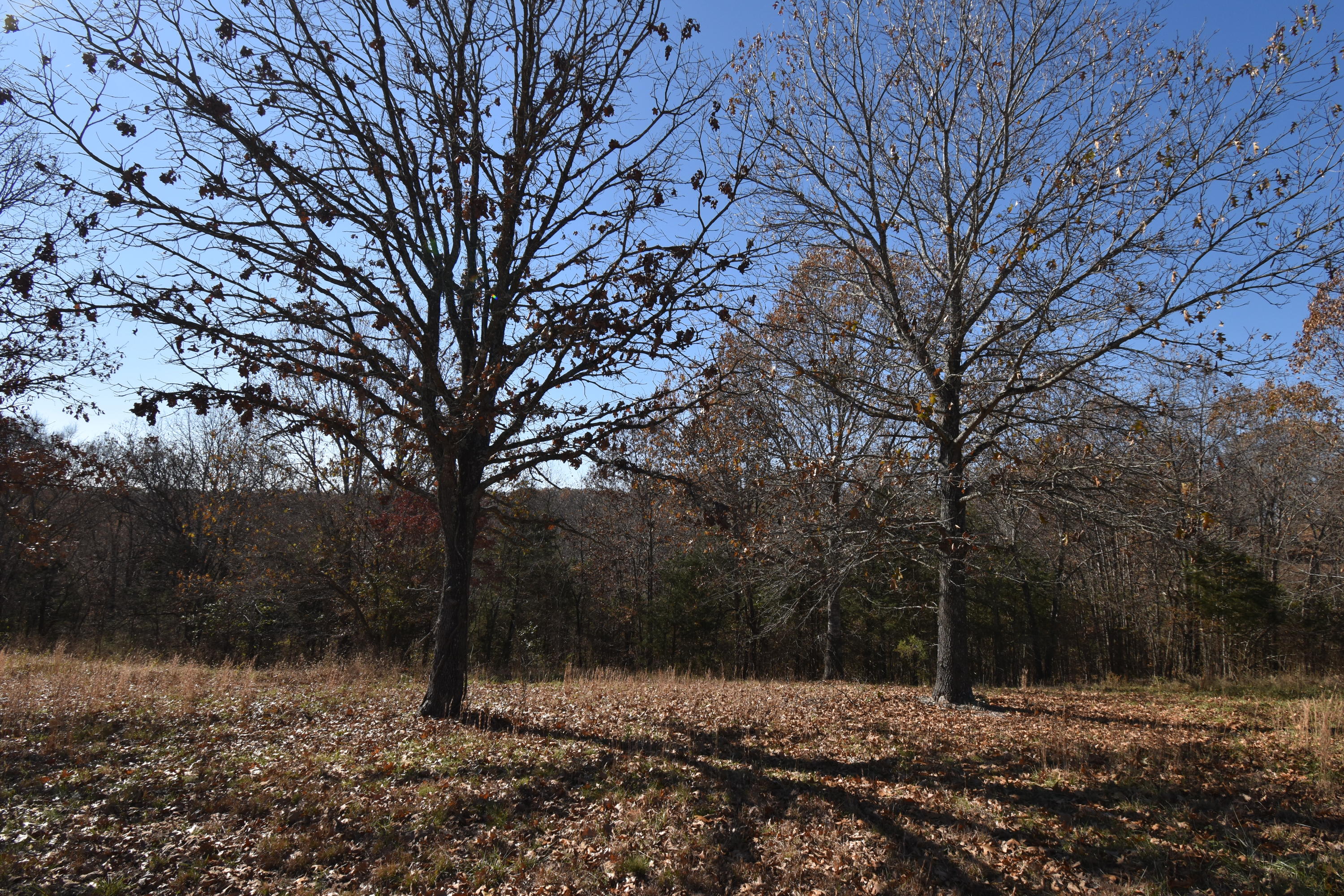 TIRED OF BEING COOPED UP WITH CLOSE NEIGHBORS? TAKE A PEACEFUL DRIVE APPROX 15 MINUTES FROM BRANSON WEST TO BEAUTIFUL WALNUT SPRINGS. THIS LAKESIDE SUBDIVISION OFFERS ACREAGE LOTS, BOAT LAUNCH AND COURTESY DOCK, OPEN AIR STORAGE LOT, PARK WITH PLAYGROUND AND BBQ AREA. YOU LL ENJOY FEEDING AND WATCHING THE TURKEY AND DEER.