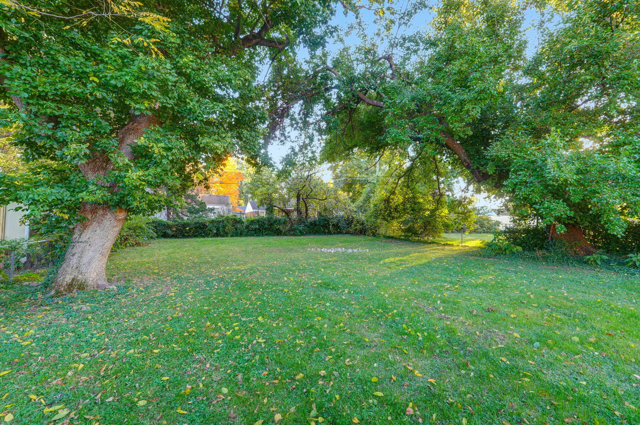 Boulevard Terr - Residential