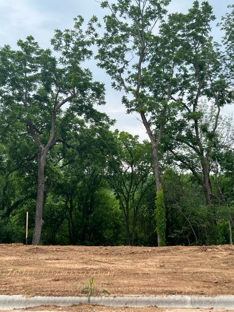 Photo 5 of 9 of Lot 32 East Lakepointe Reserve 1st Add Lane land