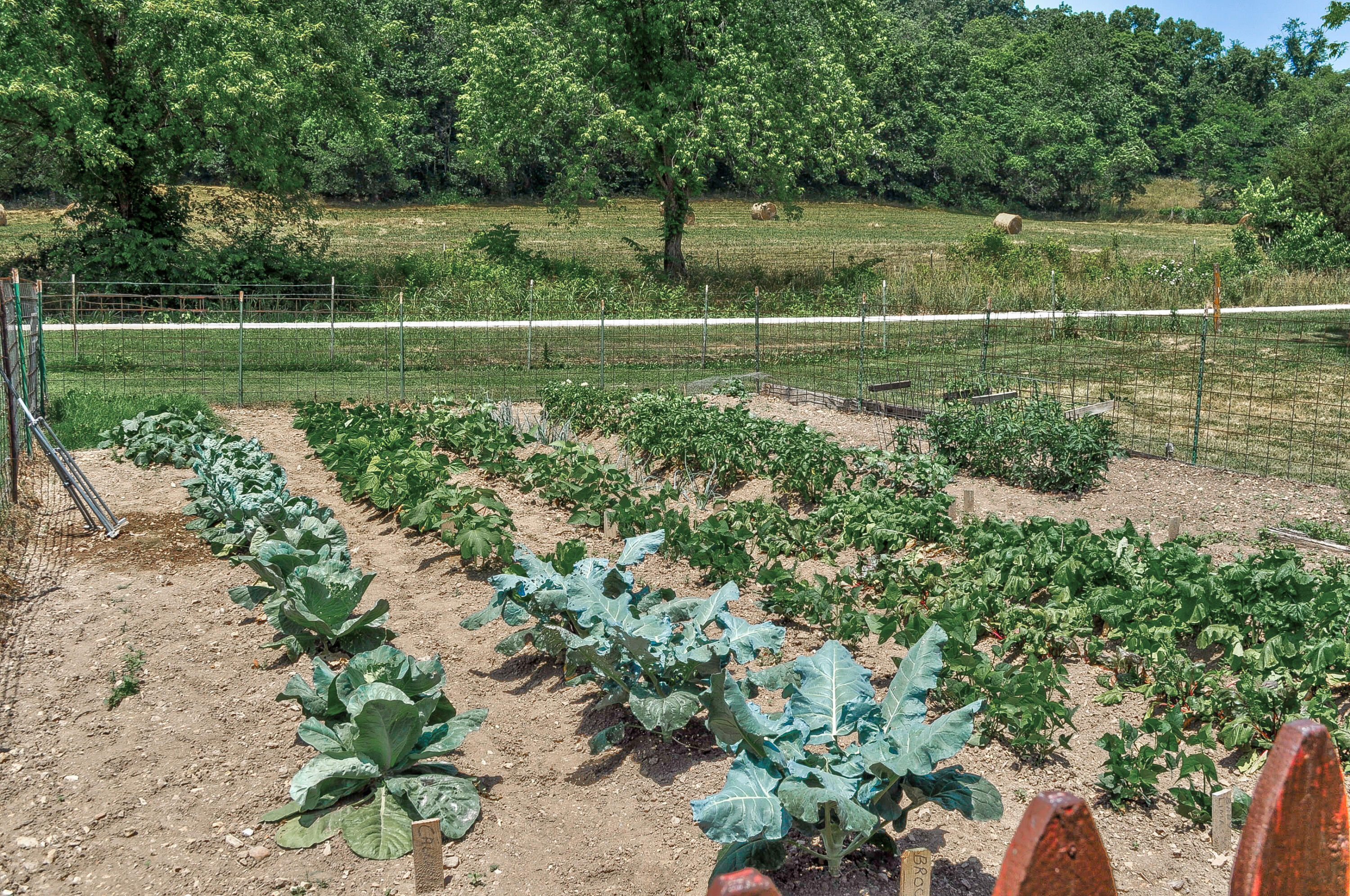 N/A - Farm