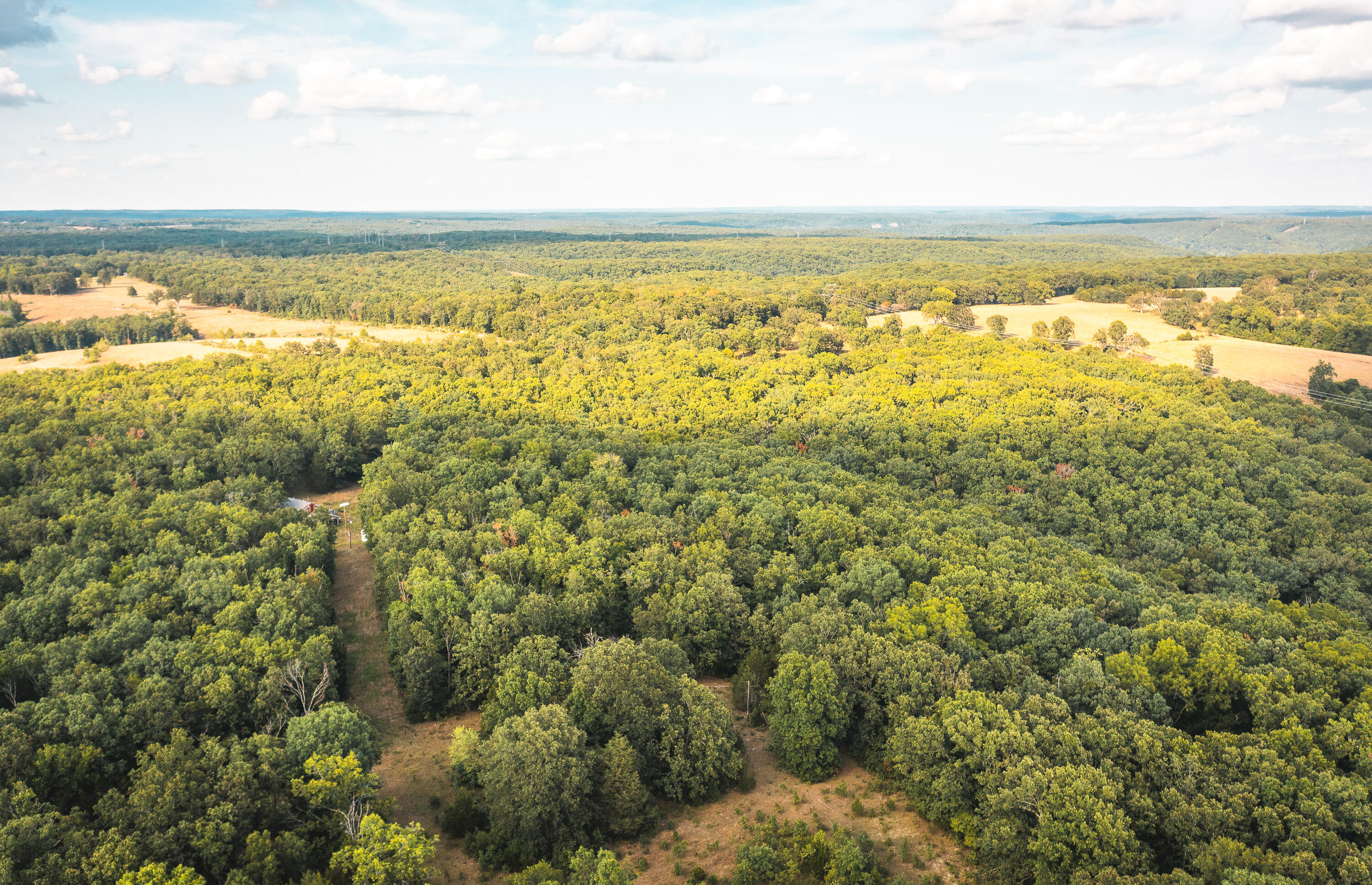 Come take a look at this 81 acre piece of paradise just outside of Dixon, MO. In the heart of Missouri sits this quiet and quaint home! It is the perfect weekend getaway or could even be a full time residence. The house has 3 bedrooms and 2 bathroom. This home is the perfect hunting hangout as well. There are deer and turkey loaded in this area! The property also has a few sheds and an outbuilding for extra equipment storage. If you are a fisherman then you are in luck as well because the Gasconade River, Big Piney and Little Piney Creeks are within a 30min drive. The property is located about 2 hours away from St. Louis. This is a recreational rich area so come take a look before it's too late!