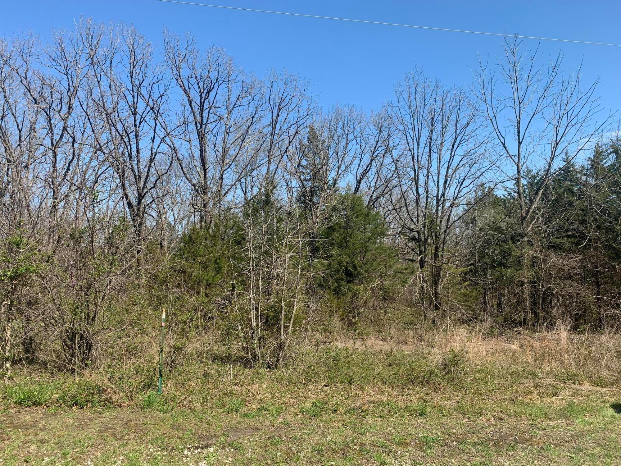 CORNER LOT!!!! Vacant lot - located near Hwy 65 between Fair Grove & Buffalo