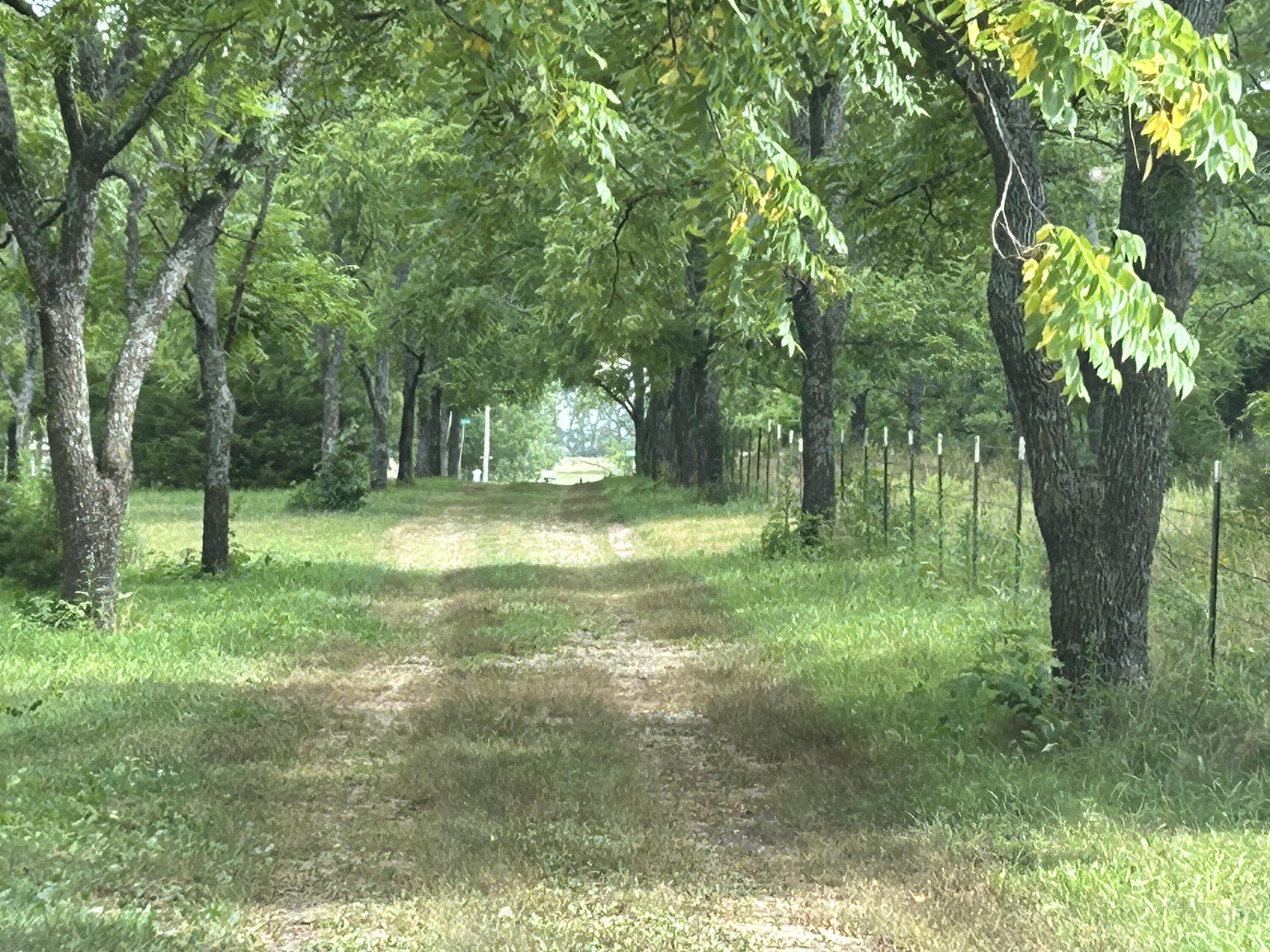 Beautiful 5 acres with an orchard of gorgeous Black Walnut trees, just 14 minutes from Mt. Vernon and 30 minutes from Republic. You'll love the newer 24 x 30 shop with concrete floor and the large carport perfect for your vehicles. The lot is level and shaded making it a great spot to build your next home, with an added bonus of potential future income from the harvesting of some the black walnut trees. Come check it out!