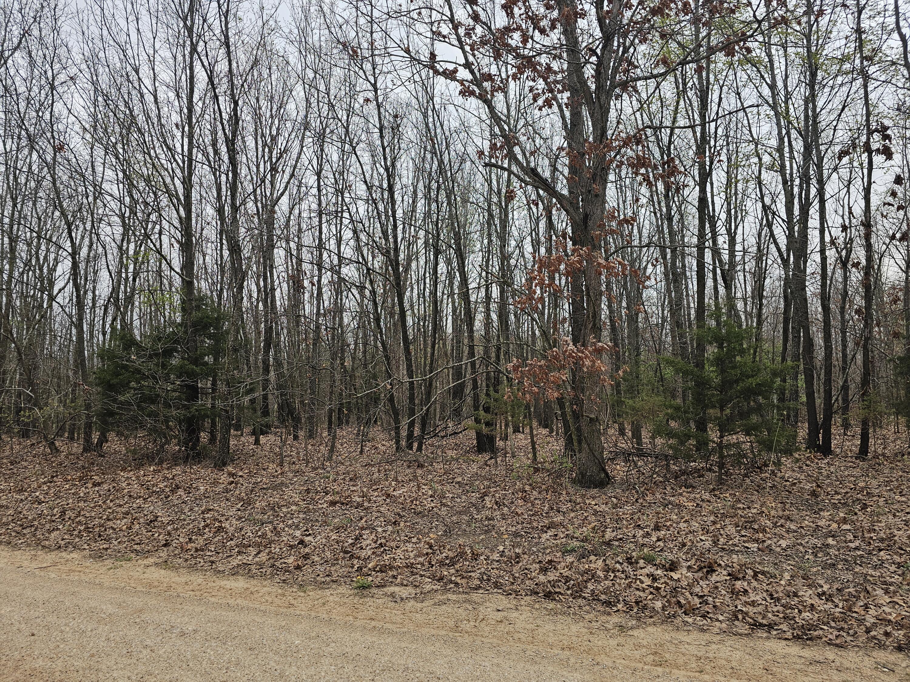 Vacant lot right on Jensen RoadClosing to be at Hogan Title Buffalo Mo