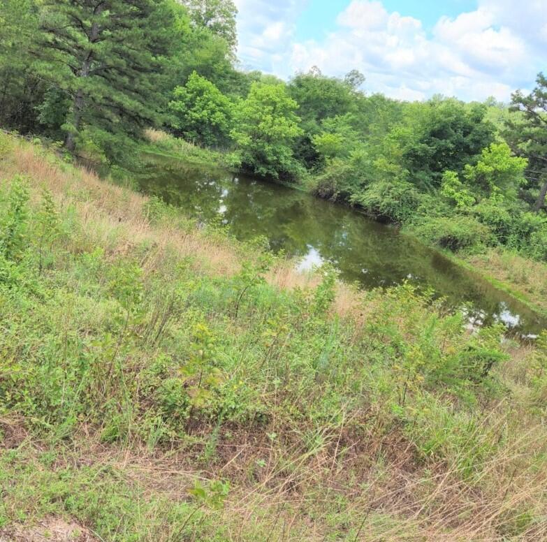 Located within Shannon County, close to town, Rocky Falls, and the rivers this 23 acres m/l has well, electric, barn,, hydrants, and 2 ponds, and is ready for a new owner. This would be a perfect property to build on and or camp while playing at the river. No restrictions.
