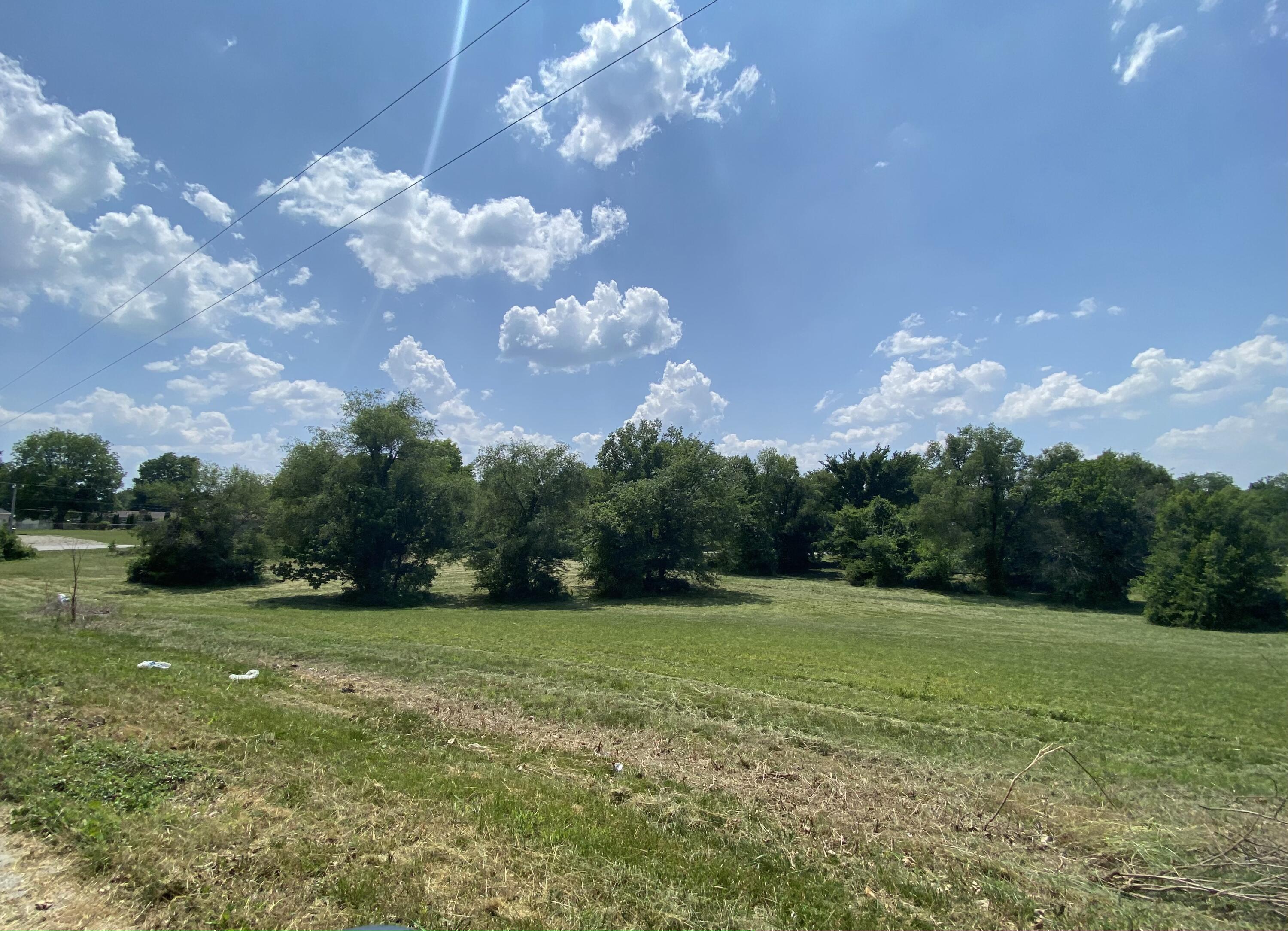Russell subdivision is a great north Bolivar neighborhood set back off Highway 32 just enought to have some privacy, and yet, still be a great commuting location. Looking to build a home close to Bolivar Schools, Bolivar Rec Center and Dunnegan Park? Come take a look at the potential here today. Russell Final Subdivision Lots 3-9 on Block 3 are available.