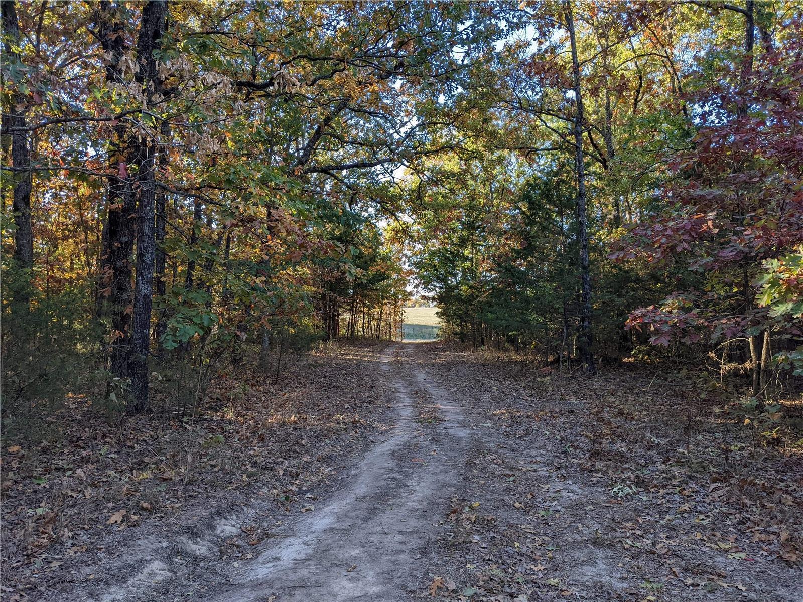 Are you looking for the right spot to build your getaway cabin or new home, or mobile home nestled in a wooded setting? Here we have this beautiful piece of property that is just perfect for that! Easy access to 1-44 and in the Conway school district.
