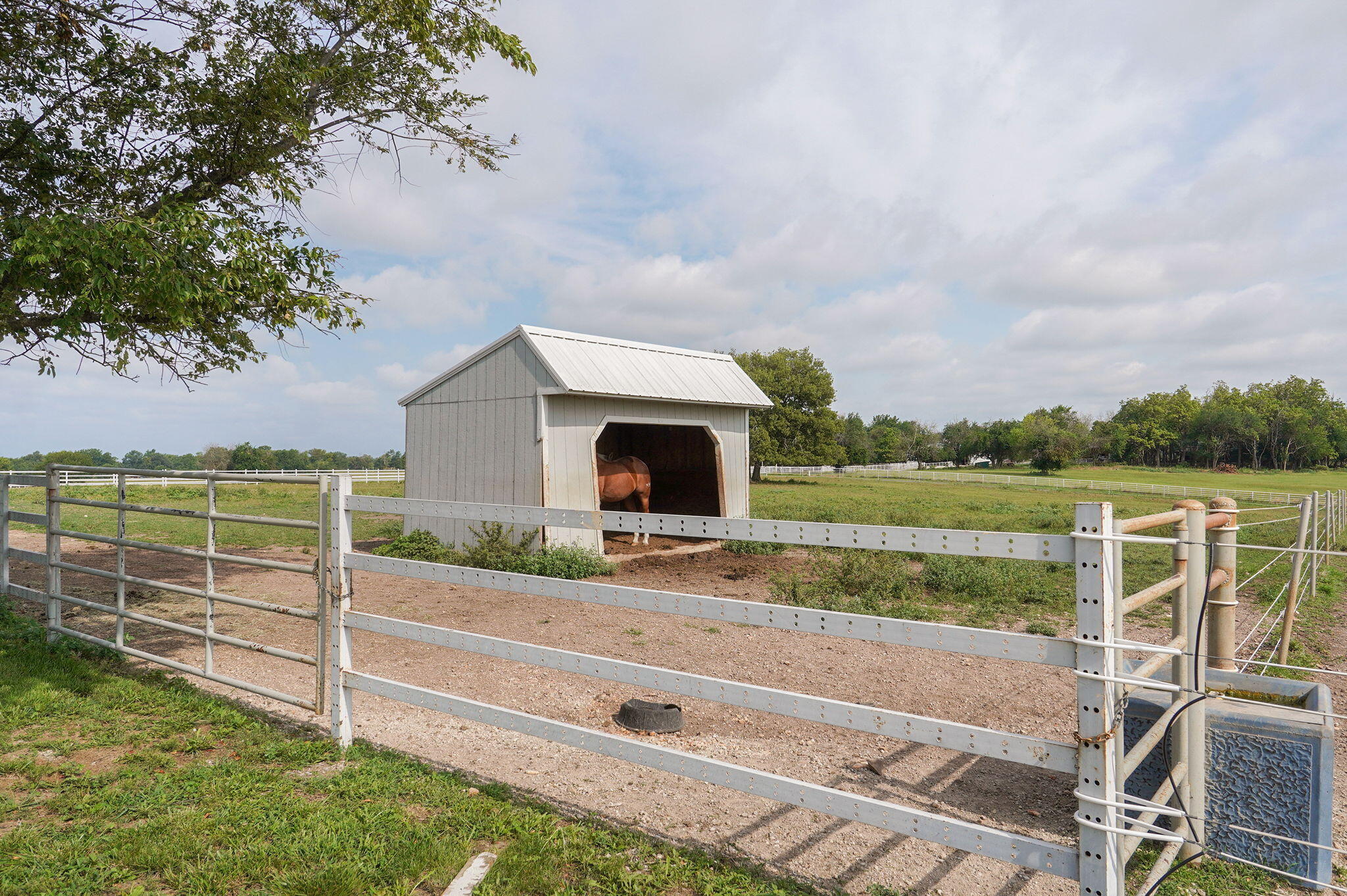 N/A - Farm