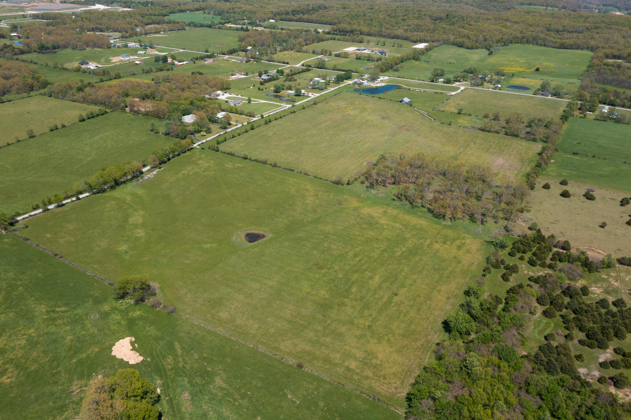 Amazing location just a few miles S. of the heart of Rogersville. Great farmland that could be divided into other parcels. You can build your dream home, farm the land etc.