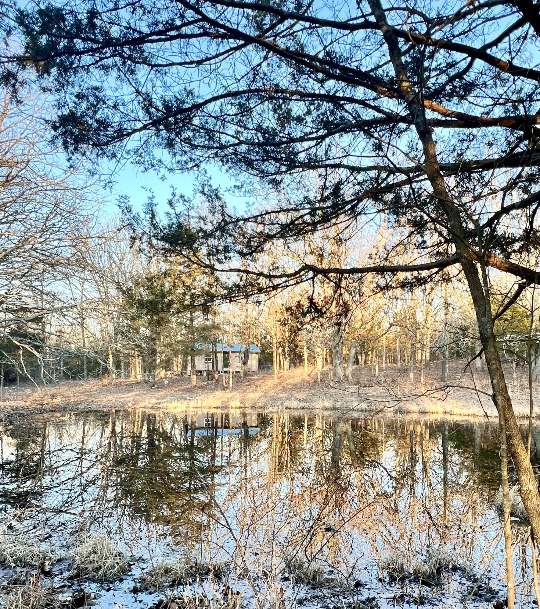 Prime Hunting Land with views for miles in the Heart of the Ozarks! 51 Acres of wooded land on Roubidoux Creek with a newer 16 x 24 unfinished Cabin overlooking a beautiful pond, the possibilities are endless! Cabin is insulated and currently being used for storage.  Cabin has no electric or water but electric is just a few feet away